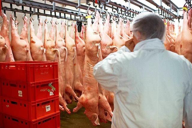 Fleischkonzerne versprechen bessere Jobs im Schlachthof