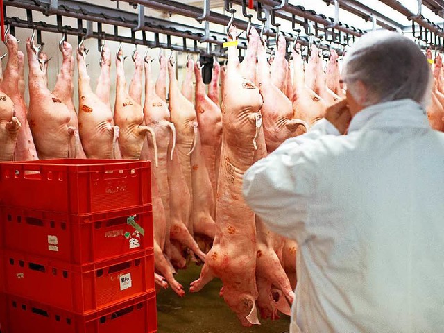 Groe  deutsche Fleischkonzerne verpfl...hftigten knftig besser zu behandeln.  | Foto: dpa