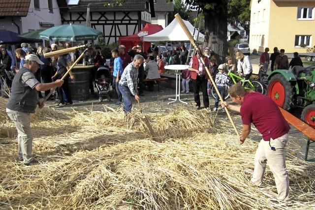 Dreschen unter der Linde