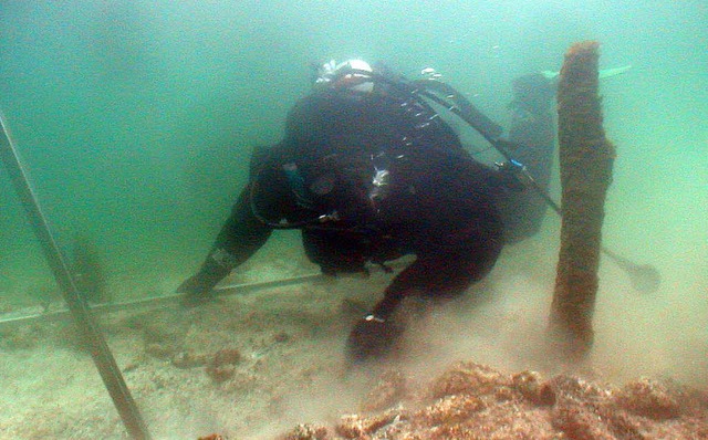 Unter Wasser ist fr Taucher das Leben erst interessant.   | Foto: archivbild: dpa