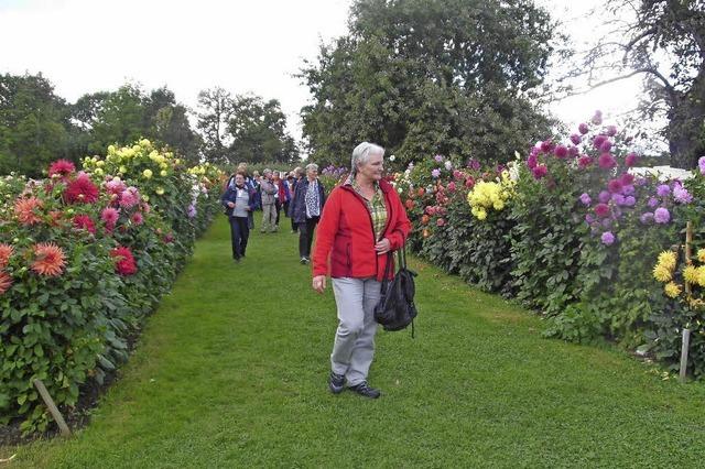 Prchtige Grten sorgen fr Staunen