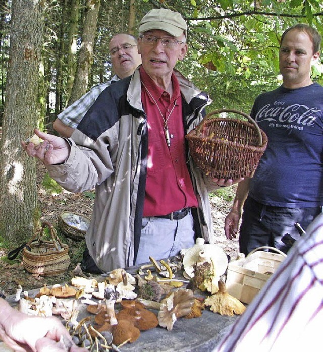 Pilzwochenende im Rothauser Land, mit ...nten Pilzsachverstndigen Helgo Bran.   | Foto: HTG