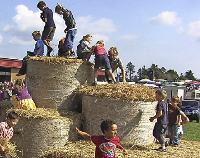 Austoben auf der Strohkletterburg   | Foto: Rolf Strohm