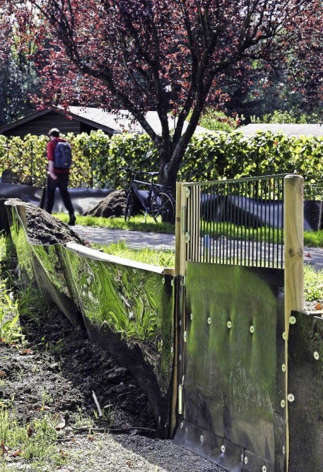 Ein Schutzzaun soll vor allem Zauneide...ie weitere Nutzung eines Trampelpfads.  | Foto: Thomas Kunz