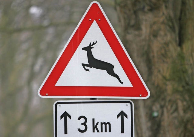 Wer dieses Schild sieht, sollte langsam fahren.   | Foto: dpa