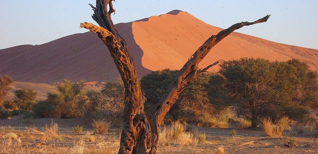 Die hchsten Sanddnen der Welt warten...tudienreise der VHS Zell nach Namibia.  | Foto: ZVG