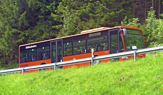 Der Nahverkehrsplan legt Standards fes...nftigen Busverkehr im Kreis Lrrach.   | Foto: Gramespacher