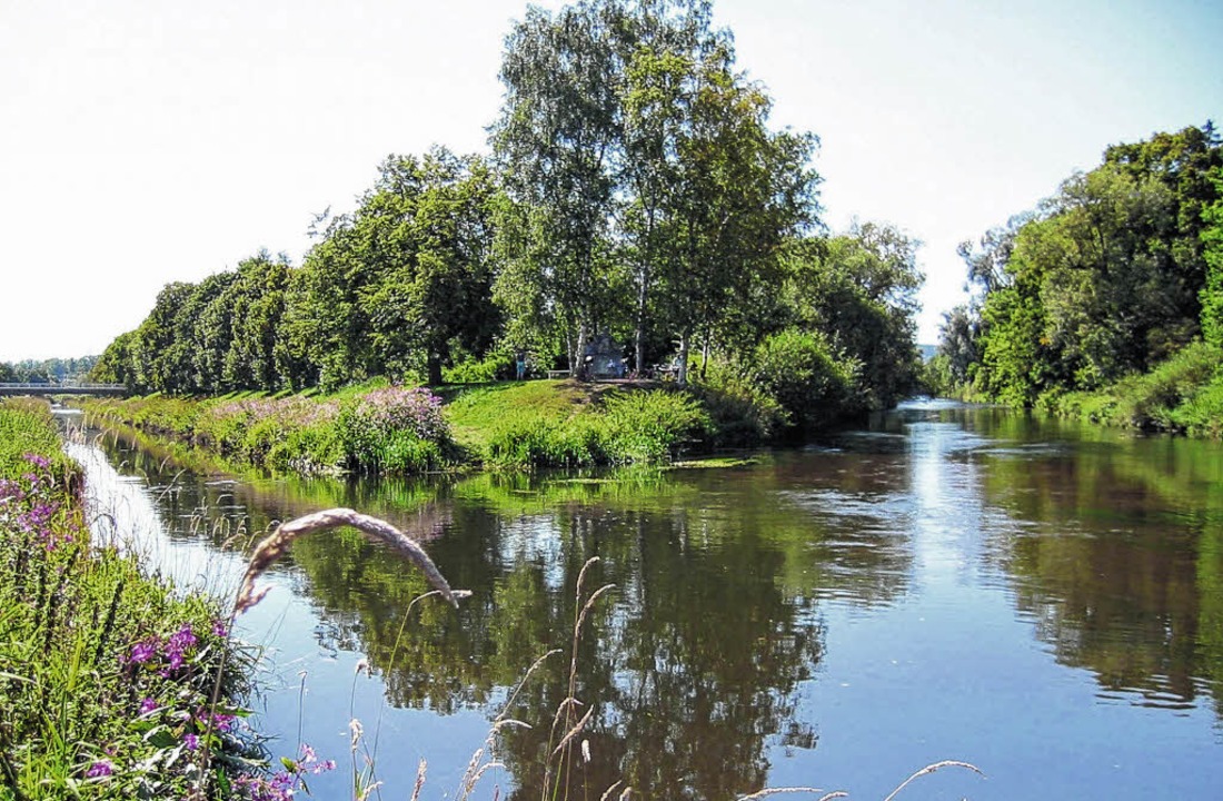 Brigach und Breg im Auwald - Donaueschingen - Badische Zeitung