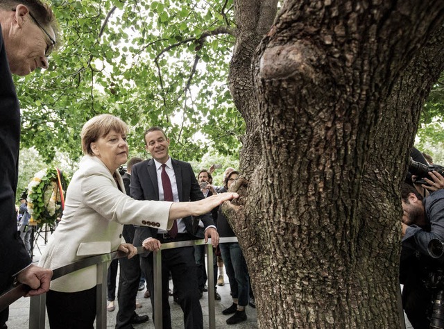 Angela Merkel am Birnbaum beim Ground ...ar wieder neue Triebe geschlagen hat.   | Foto: dpa