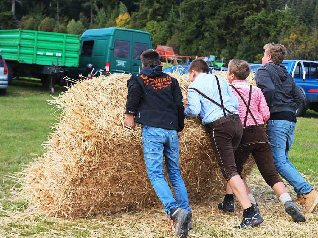 Ein fotografischer Bummel bers 26. Gersbacher Weidefest.