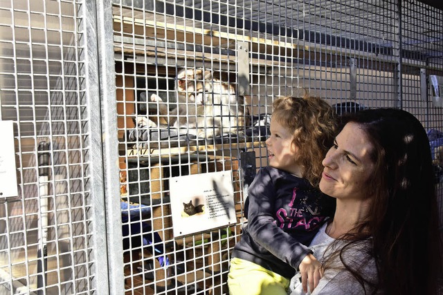 Mehr als tausend Besucher kamen zum Ta... offenen Tr ins Emmendinger Tierheim.  | Foto: Dieter Erggelet