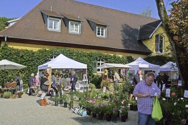 BoGart im Schloss in Bollschweil