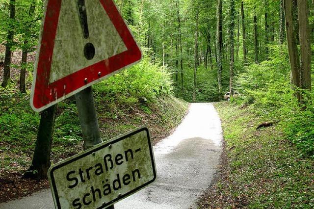Strae durch den Hertinger Wald wird saniert - Kosten von 110.000 Euro