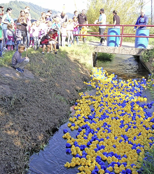 Blaue und gelbe Entchen - Waldkirch - Badische Zeitung