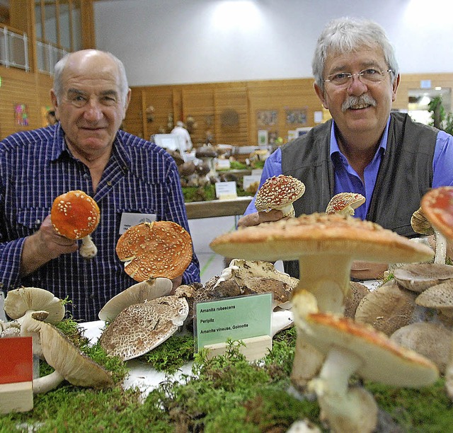 Heinz Fazis (links) und Remy Longato w...einer guten Pilzausstellung ankommt.    | Foto: Lauber