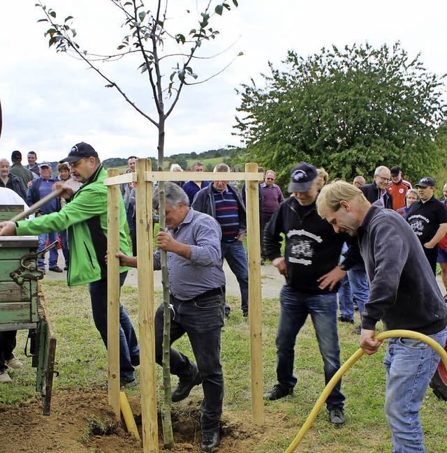 Ortsvorsteher  Ludin (vorn links) und mehrere Helfer pflanzten  zwei Birnbume.  | Foto: Cremer