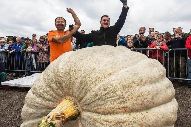 Kürbis wiegt 812,5 Kilogramm – neuer deutscher Rekord