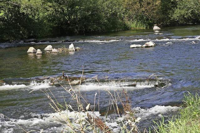 Die Wiese erholt sich nach dem Schaden