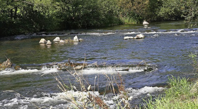 Die Kleinlebewesen in der Wiese kehren zurck.   | Foto: Jung-Knoblich