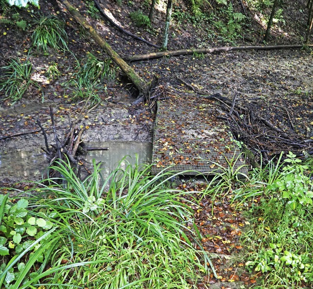 Der Weg am Salzbrnnele ist nicht mehr zu begehen.   | Foto: Chirs Rtschlin