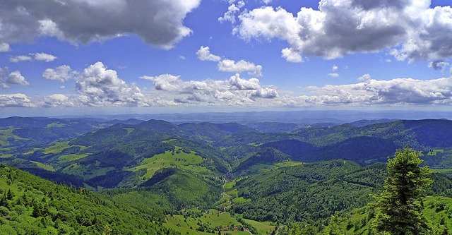 Im Hochschwarzwald brachte der Traumso...ieben Prozent bei den bernachtungen.   | Foto: HTG-Tourismus