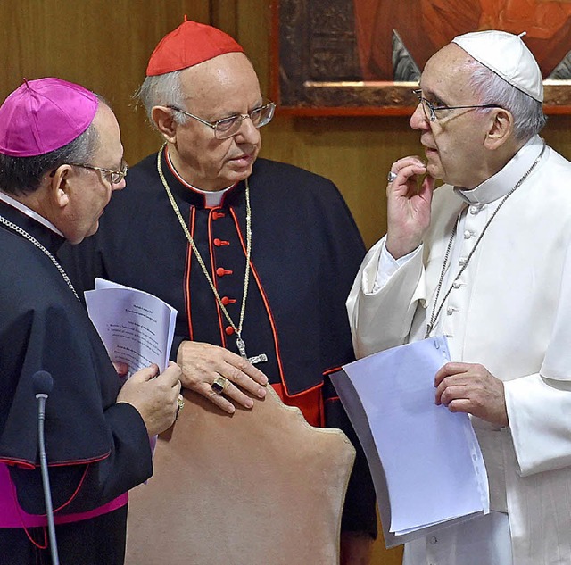 Nachdenkliche Gesichter: Papst Franzis...sseri (Mitte) und Bischof Fabio Fabene  | Foto: dpa