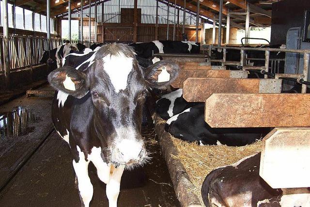 Ferienhof Kuttler (Schwand)