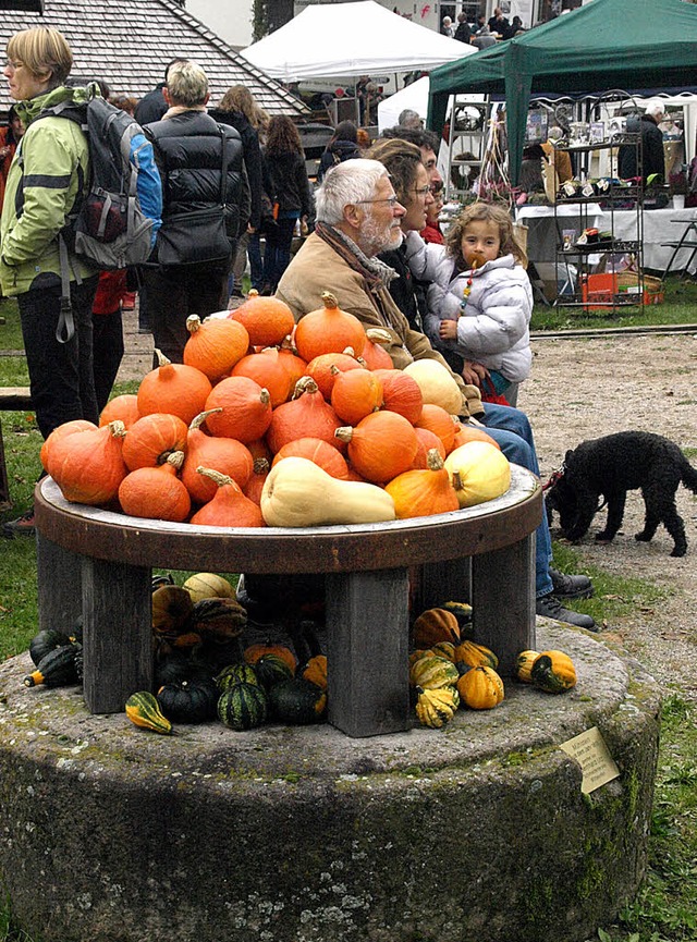   | Foto: Karin Stckl-Steinebrunner