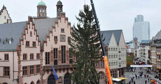 Der Christbaum vor dem Frankfurter &#8...us der Steiermark angeliefert (Bild).   | Foto: dpa