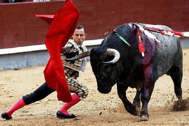 Mallorca will ein Stierkampfverbot einführen