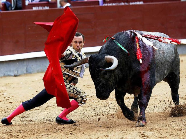 Tradition oder Perversion? Der Stierkampf bleibt umstritten.  | Foto: dpa
