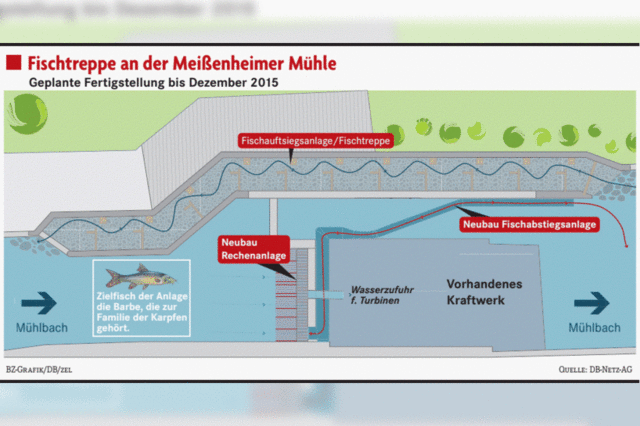 Mhlbach wird vollstndig durchlssig