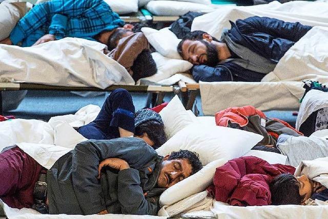 Feldbetten für Flüchtlinge werden knapp – Etagenbetten von Ikea aufgekauft