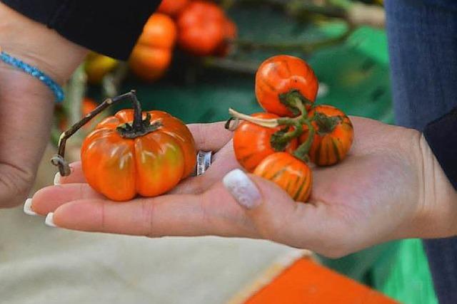 Fotos: Herbstfest mit Krbismarkt in Lrrach