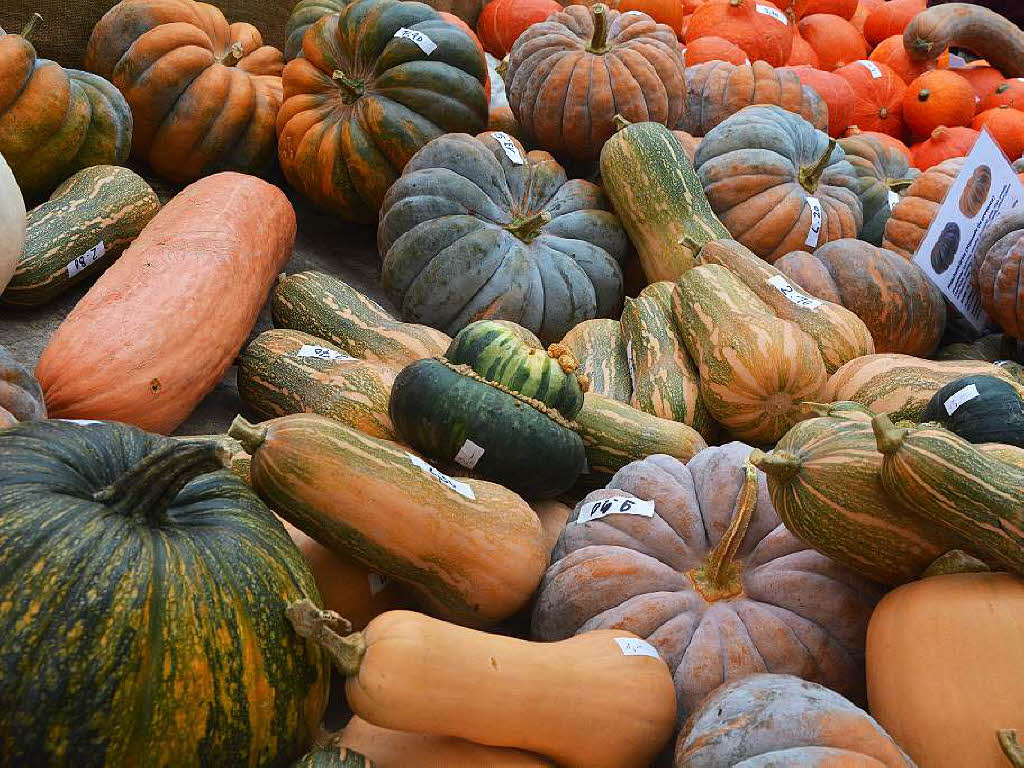 Herbstfest mit Krbismarkt in Lrrach