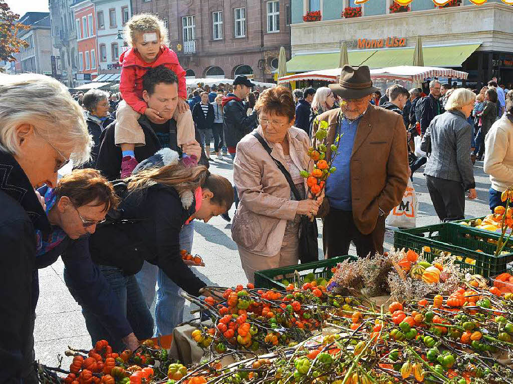 Herbstfest mit Krbismarkt in Lrrach