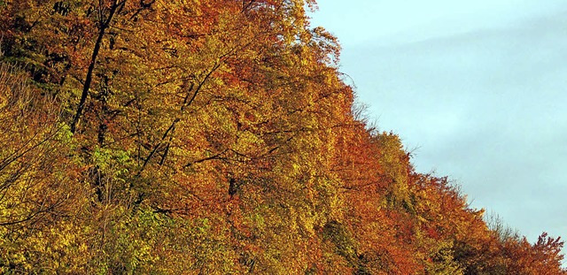 Bunte Wlder sind ebenso typisch fr d...n wettertechnisch ist alles  mglich.   | Foto: helmut Kohler