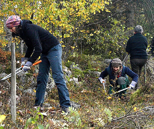 Eine 20-kpfige Gruppe traf sich am Sa...zur Landschaftspflegeaktion in Horbach  | Foto: Karin Stckl-Steinebrunner