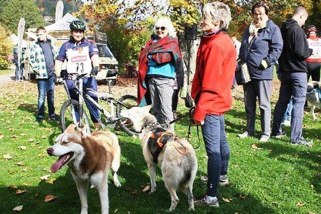 Fotos: Schlittenhundefestival in Todtmoos