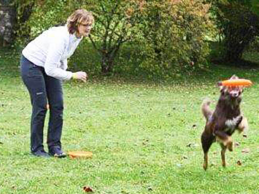 Impressionen vom Schlittenhundefestival in Todtmoos.