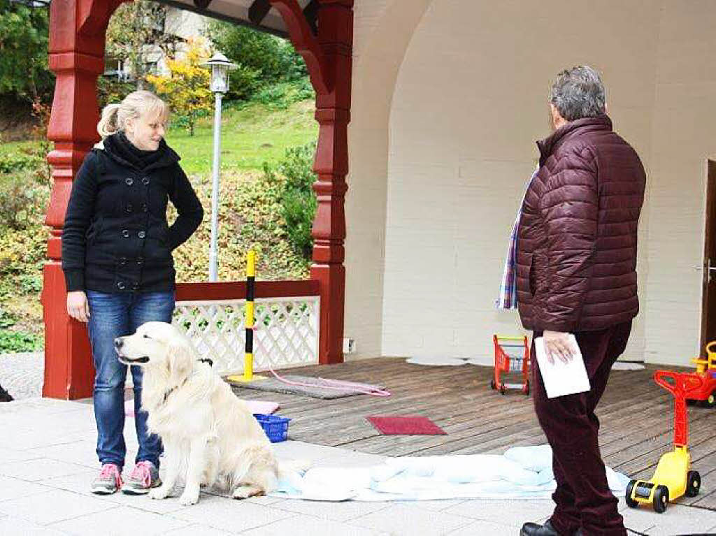 Impressionen vom Schlittenhundefestival in Todtmoos.