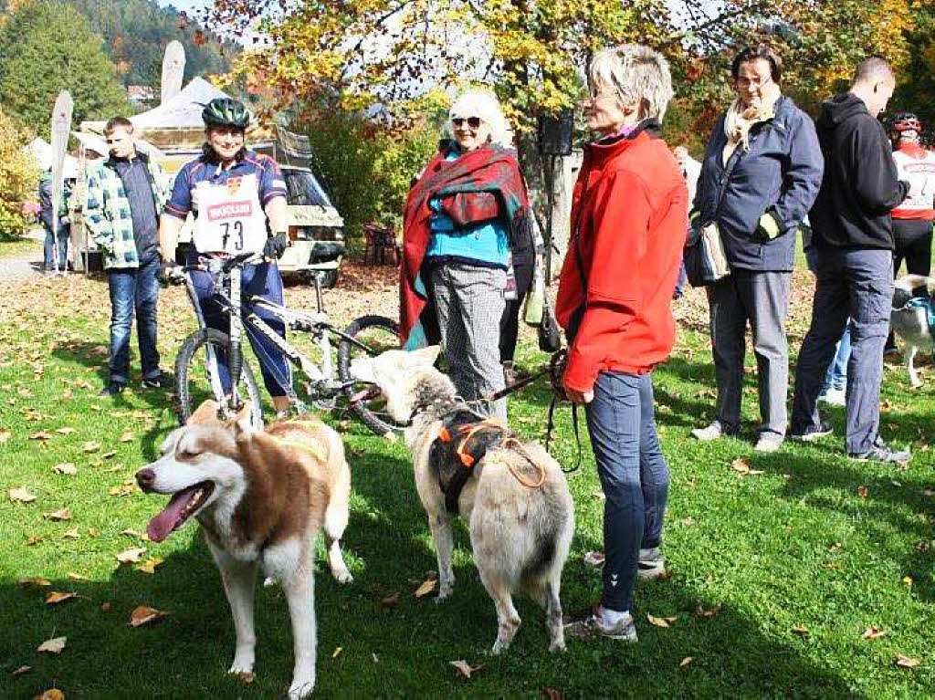 Impressionen vom Schlittenhundefestival in Todtmoos.