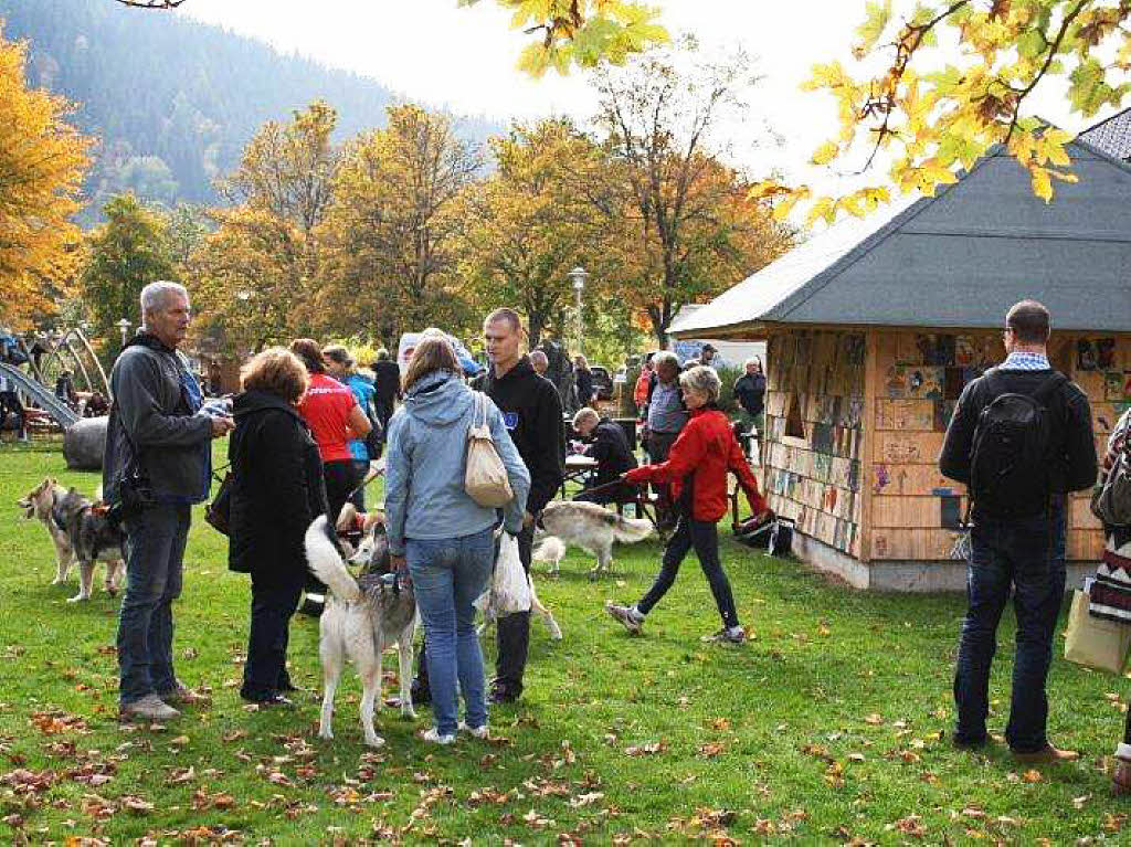 Impressionen vom Schlittenhundefestival in Todtmoos.