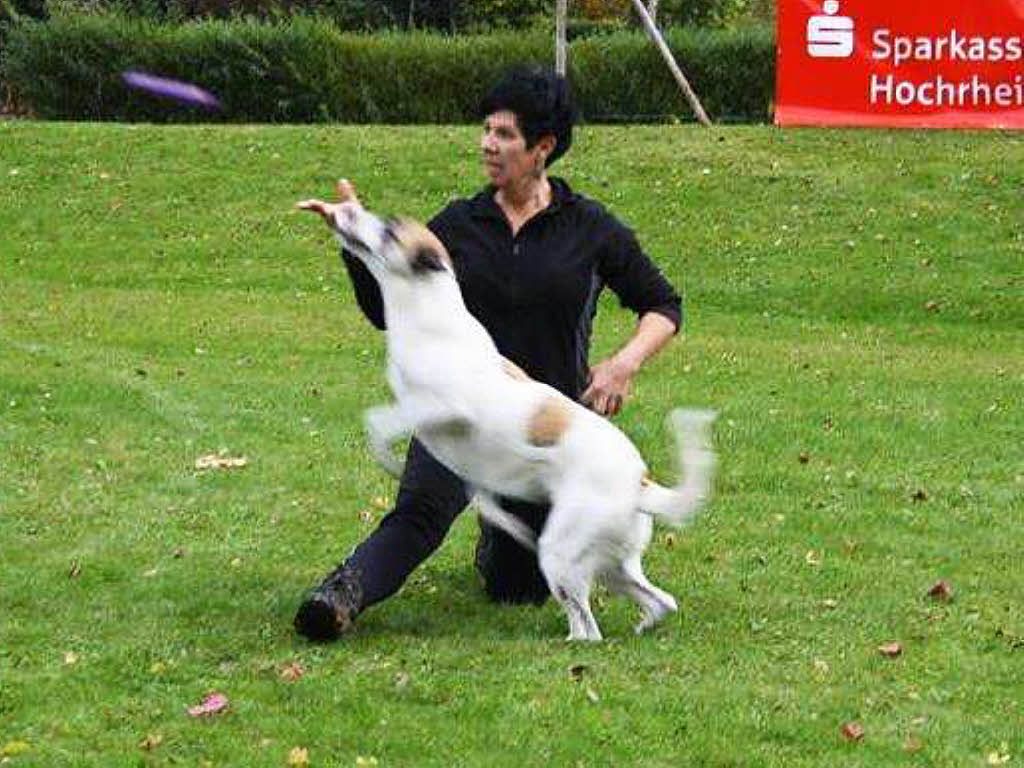 Impressionen vom Schlittenhundefestival in Todtmoos.