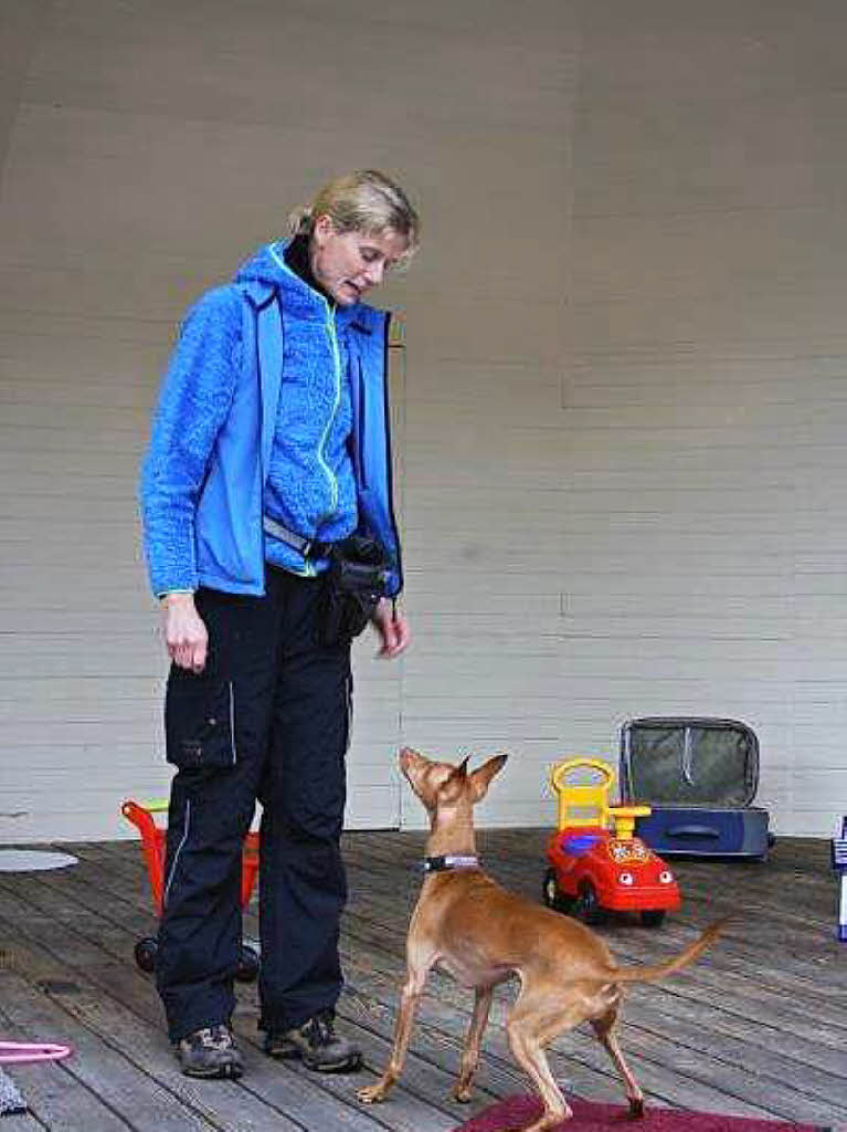 Impressionen vom Schlittenhundefestival in Todtmoos.