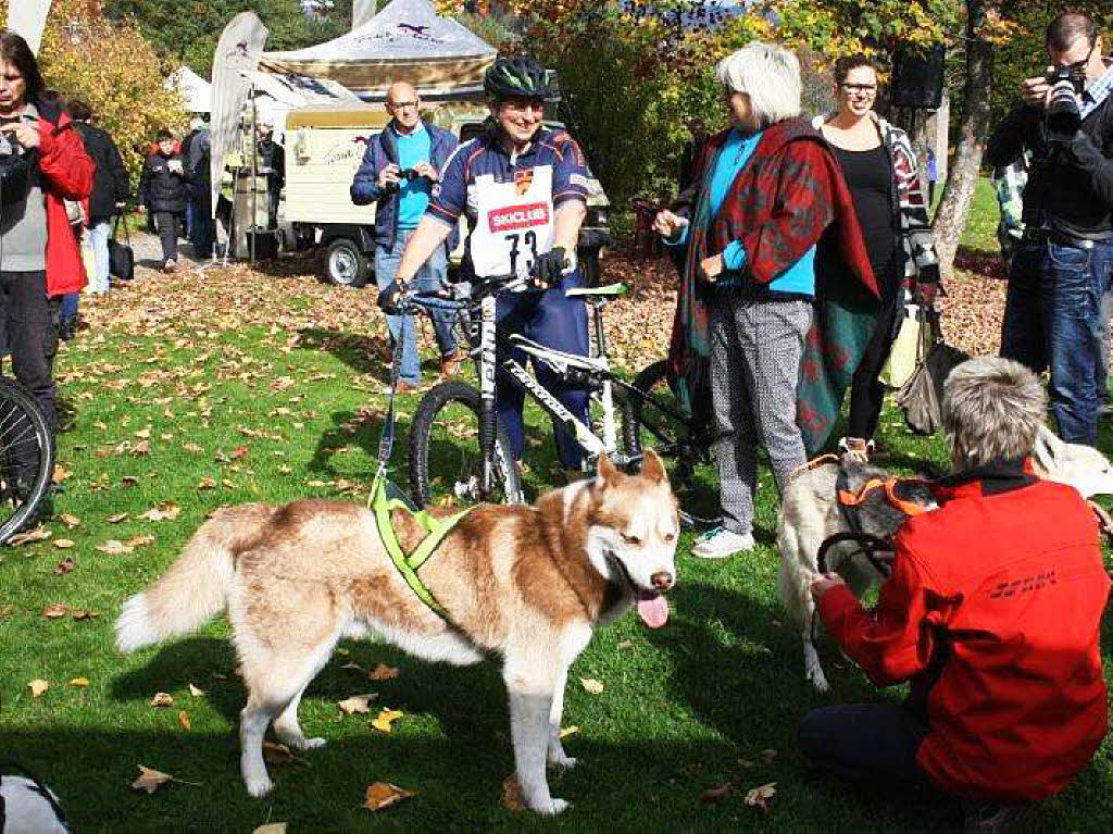 Impressionen vom Schlittenhundefestival in Todtmoos.