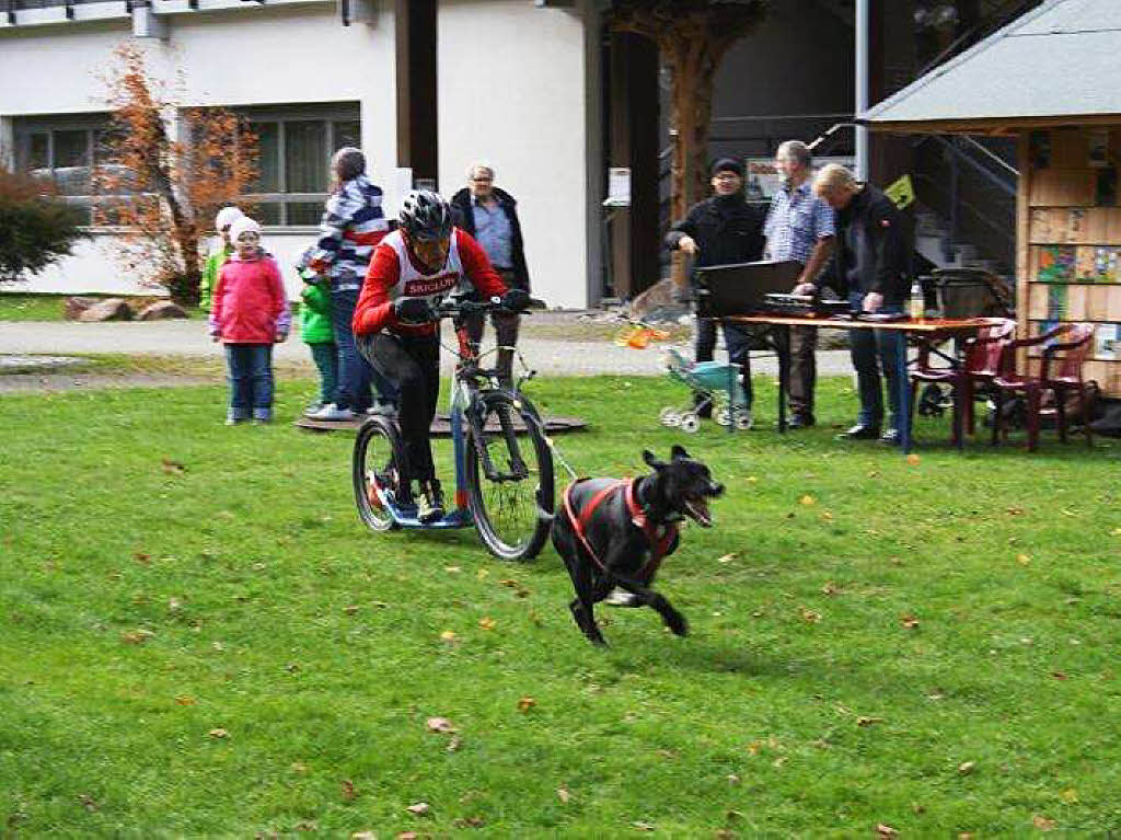 Impressionen vom Schlittenhundefestival in Todtmoos.