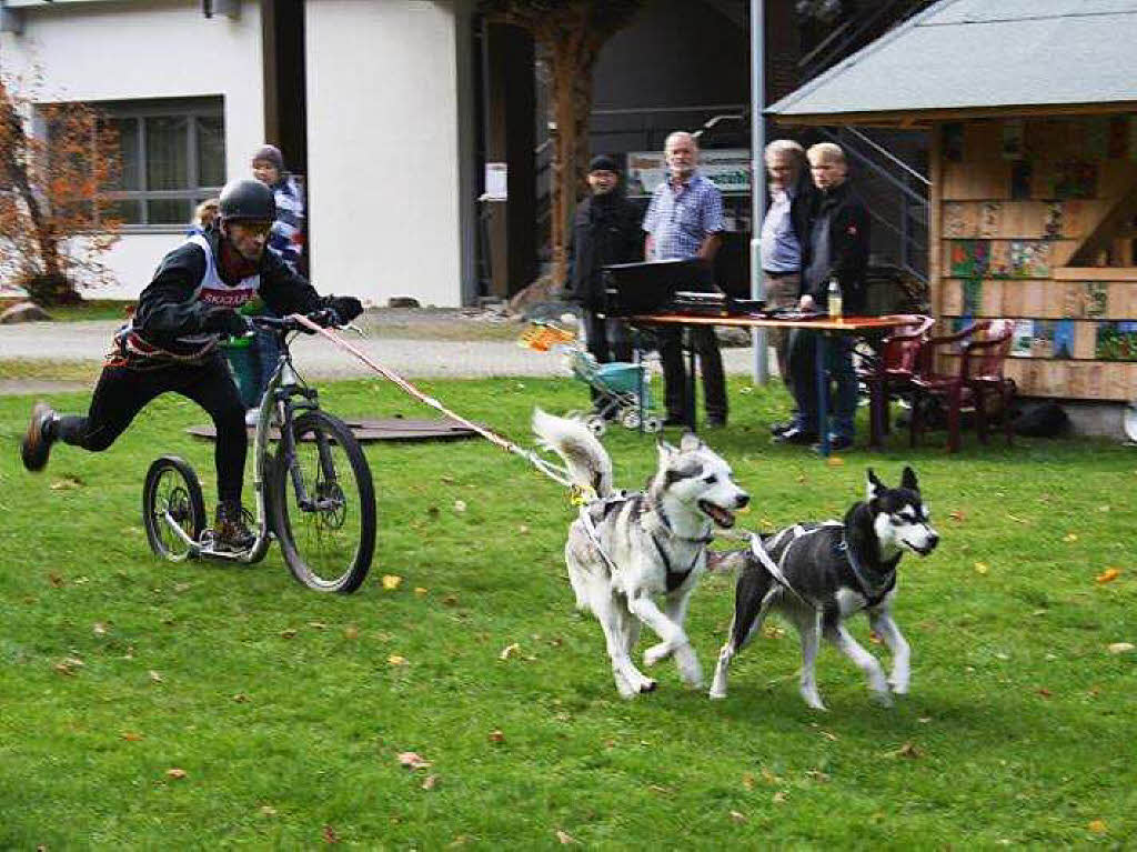 Impressionen vom Schlittenhundefestival in Todtmoos.