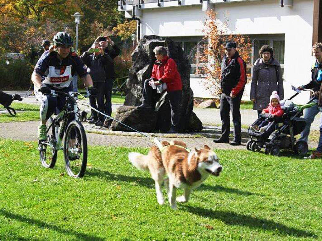 Impressionen vom Schlittenhundefestival in Todtmoos.