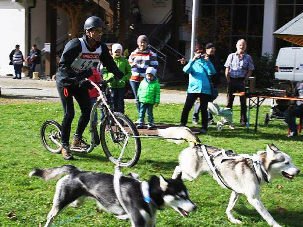 Impressionen vom Schlittenhundefestival in Todtmoos.